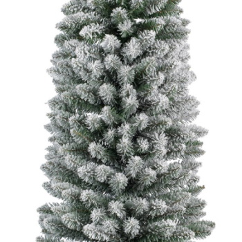 Novogodišnja jelka Pencil pine snowy 210cm Everlands 68.4022